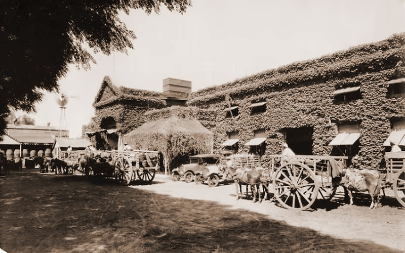 ¿Sabías que la Bodega Robinson se convirtió en un referente de vitivinicultura desde sus inicios en 1890?