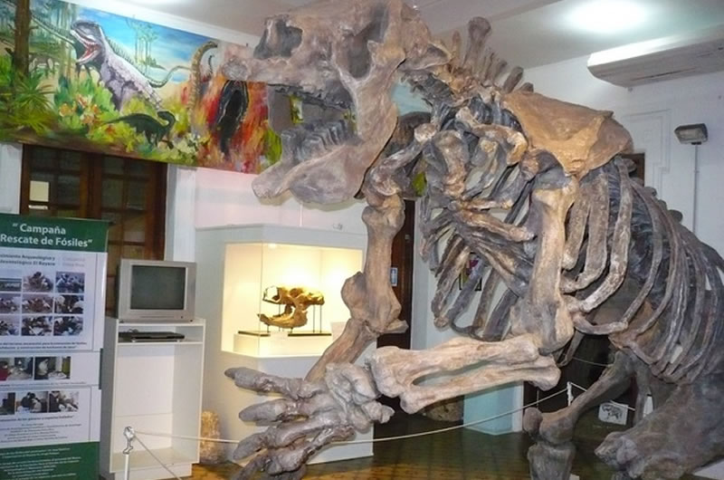 Conferencia sobre “Dinosaurios: Lo grande, lo antiguo, lo sorprendente”