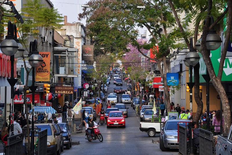 Brote de dengue en Salto: El Ministerio de Salud exhorta a extremar cuidados