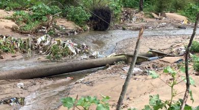 WhatsApp Image 2024-03-09 at 10.10.27