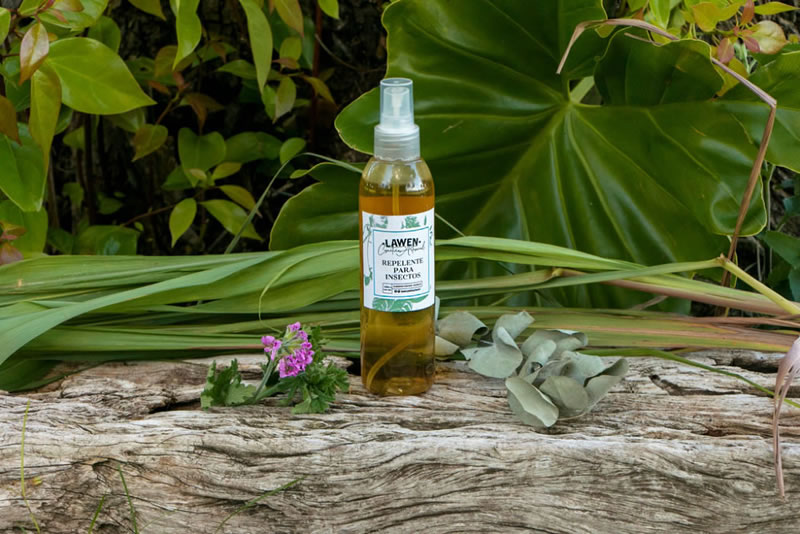 En UNER habrá un taller de “Elaboración de repelentes naturales”