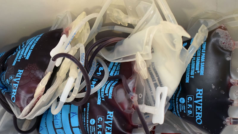 Personas que tuvieron dengue pueden donar sangre tras 30 días de recuperación