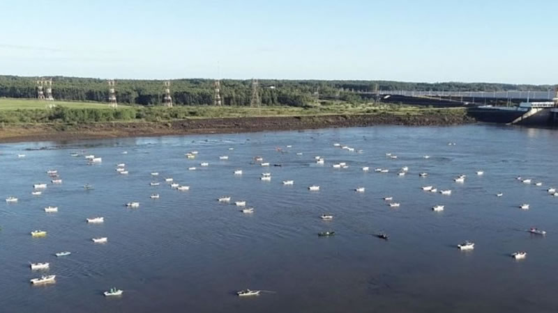 El Trío Conformado por Petroni, Rojas y Ocampo Ganaron la “31º Fiesta Nacional Pesca de la Boga”