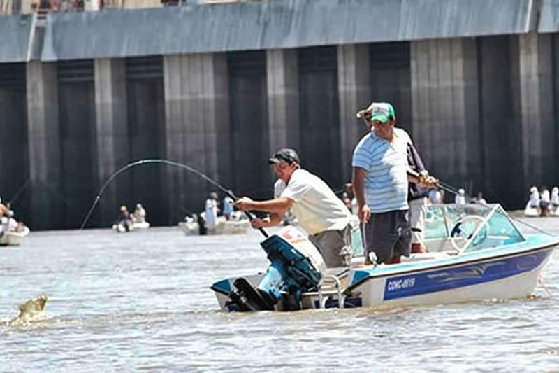 Fiesta Nacional Pesca de la Boga: Hoy domingo comienza la competición de embarcados por tríos