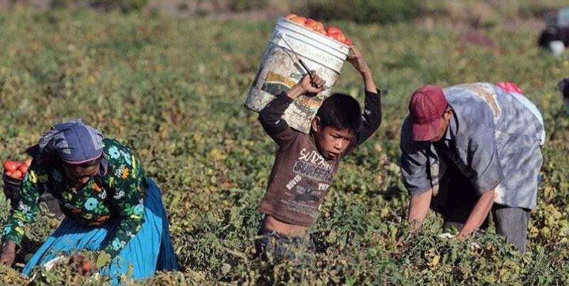Día Internacional contra la Esclavitud Infantil
