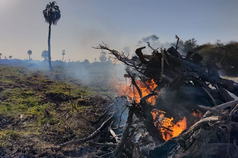 Intervino Ambiente tras la quema del campo donde iban a crear un Parque Nacional