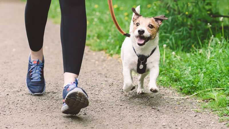 Se viene otra edición de la corre caminata canina en la Costanera