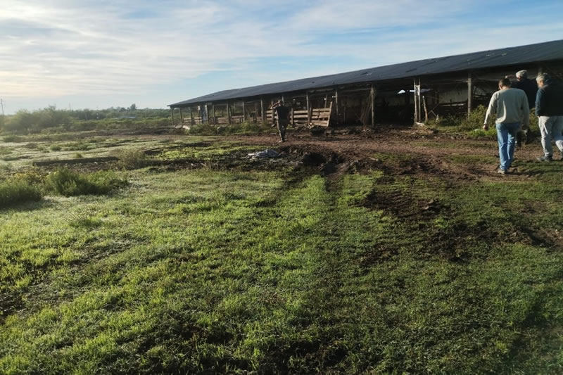 Contaminación: Ante las denuncias de vecinos despoblaron una granja y ordenaron el cese de actividades