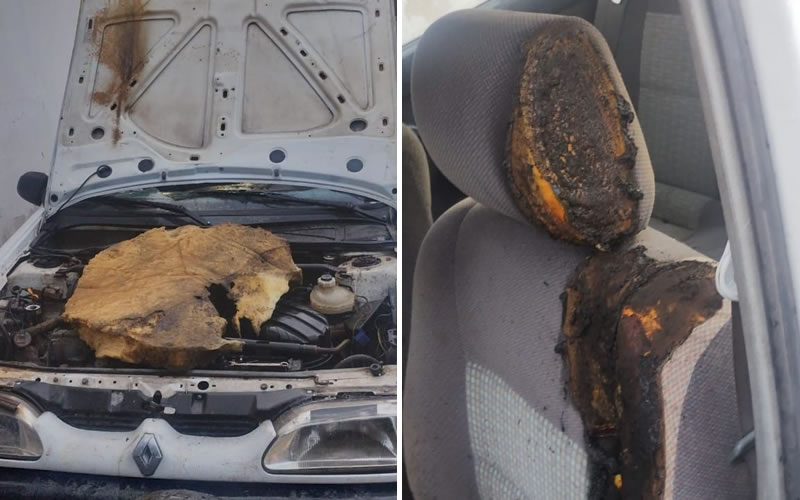 Incendió el vehículo de su pareja e intentó agredirla frente a funcionarios policiales