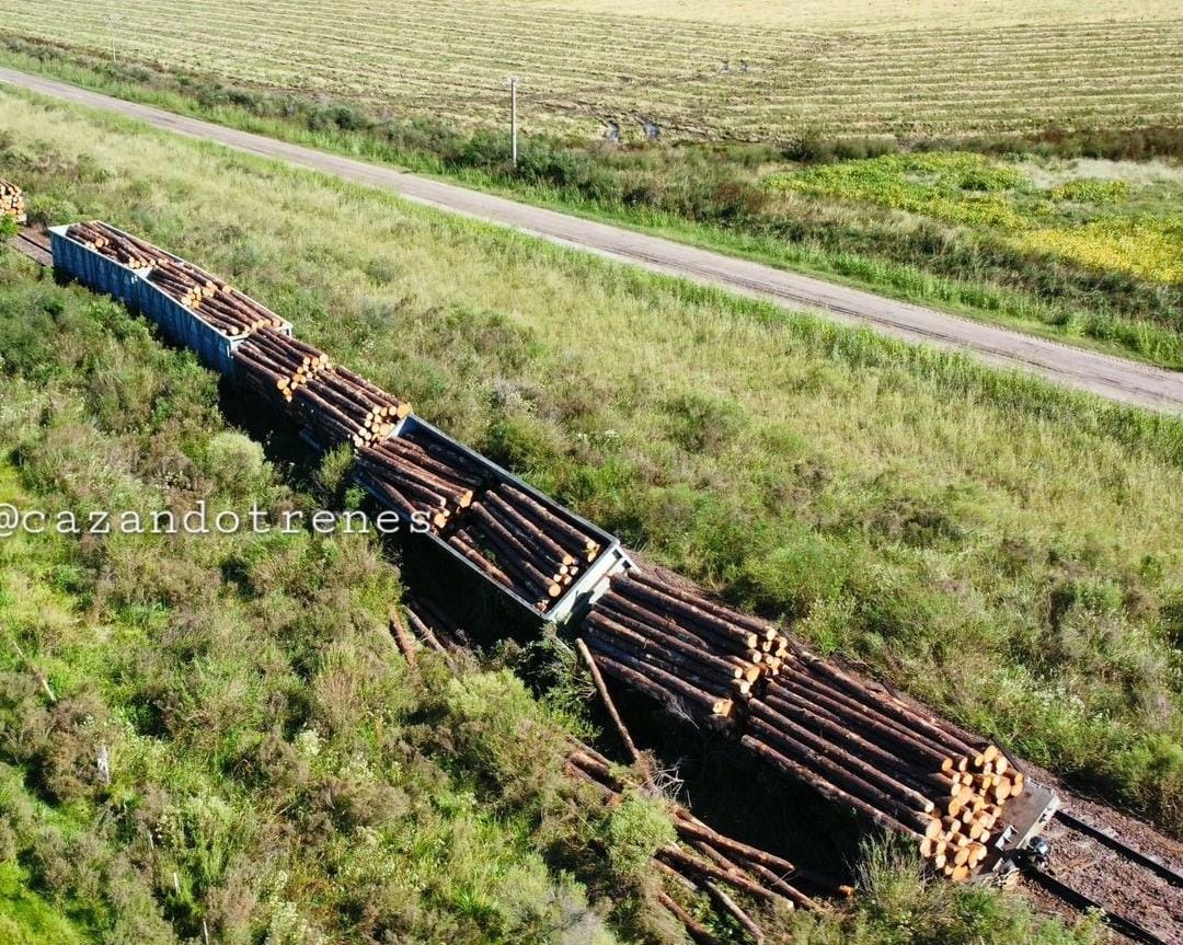 Formación ferroviaria que transportaba pinos descarriló en General Campos