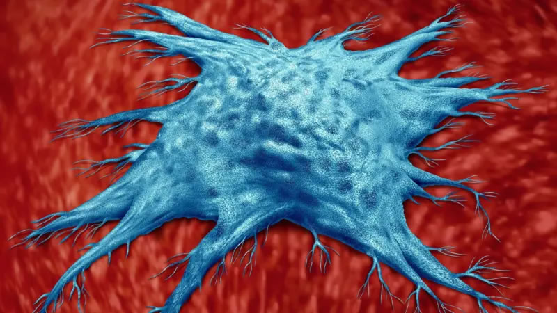 Que son las «células zombies» del envejecimiento y cómo los cientificos intentan destruirlas