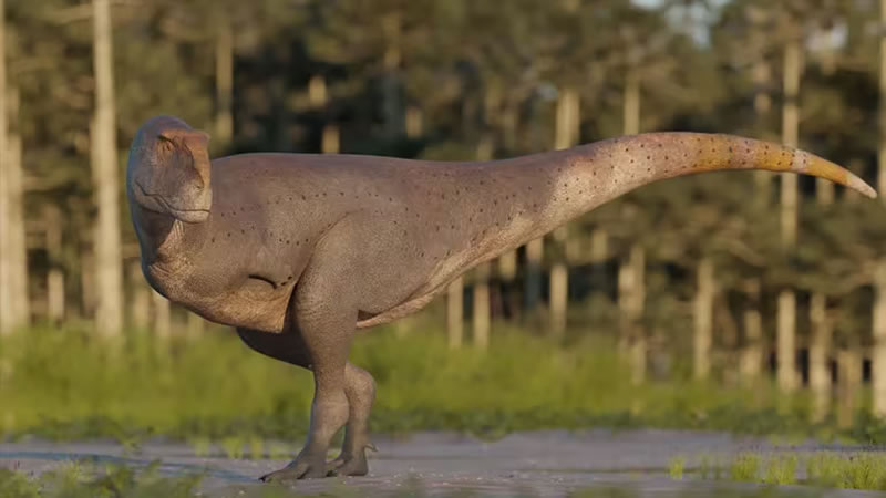 «Koleken inakayali»: Así era el dinosaurio carnivoro que fue descubierto en la Patagonia