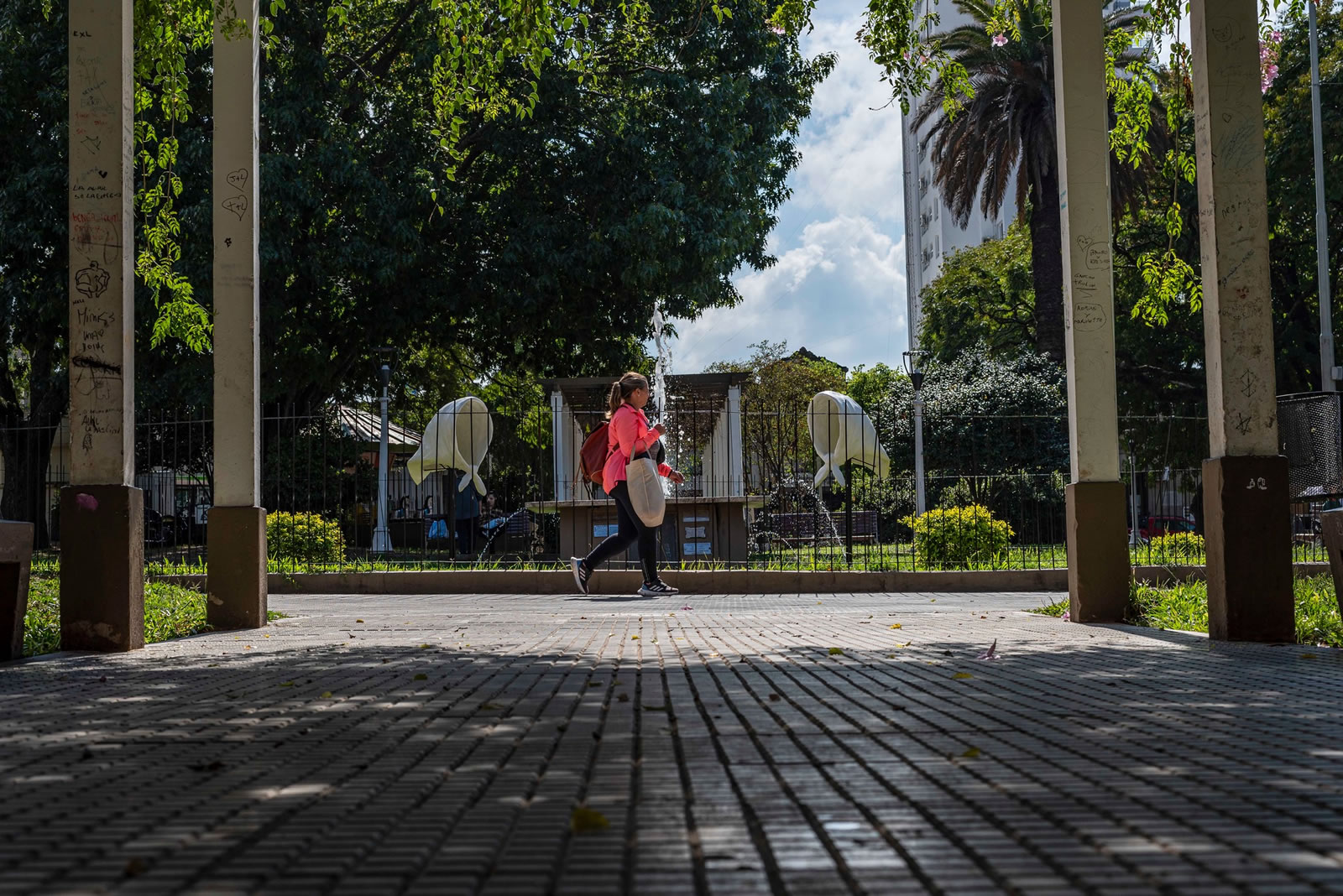 Reunión y convocatoria del Consejo Asesor de Protección de Patrimonio
