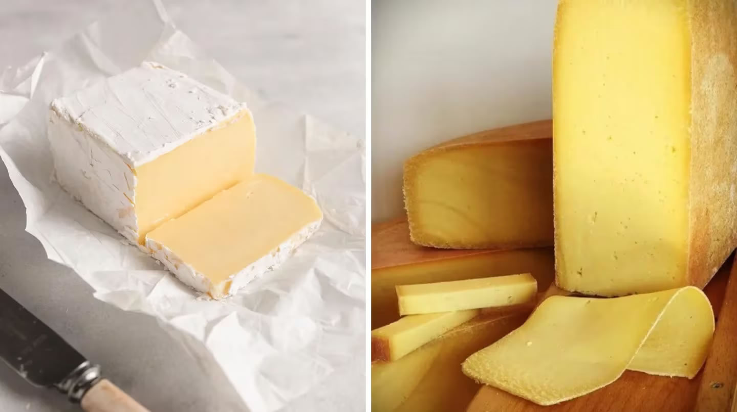 Triunfo argentino en Brasil: Dos quesos nacionales ganaron la medalla de oro en un concurso internacional