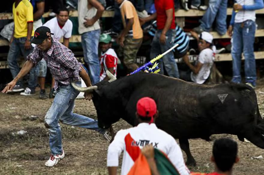 Colombia prohíbe las corridas de toros tras siete años de intentos fallidos
