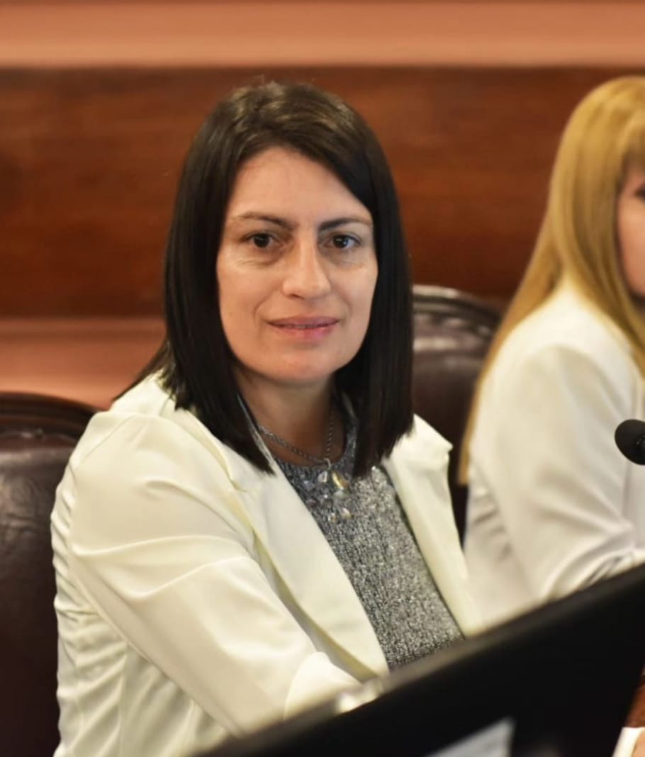 La Diputada Carola Laner presento el proyecto de Ley para quienes cometen delitos y tengan antecedentes esperen su proceso detenidos