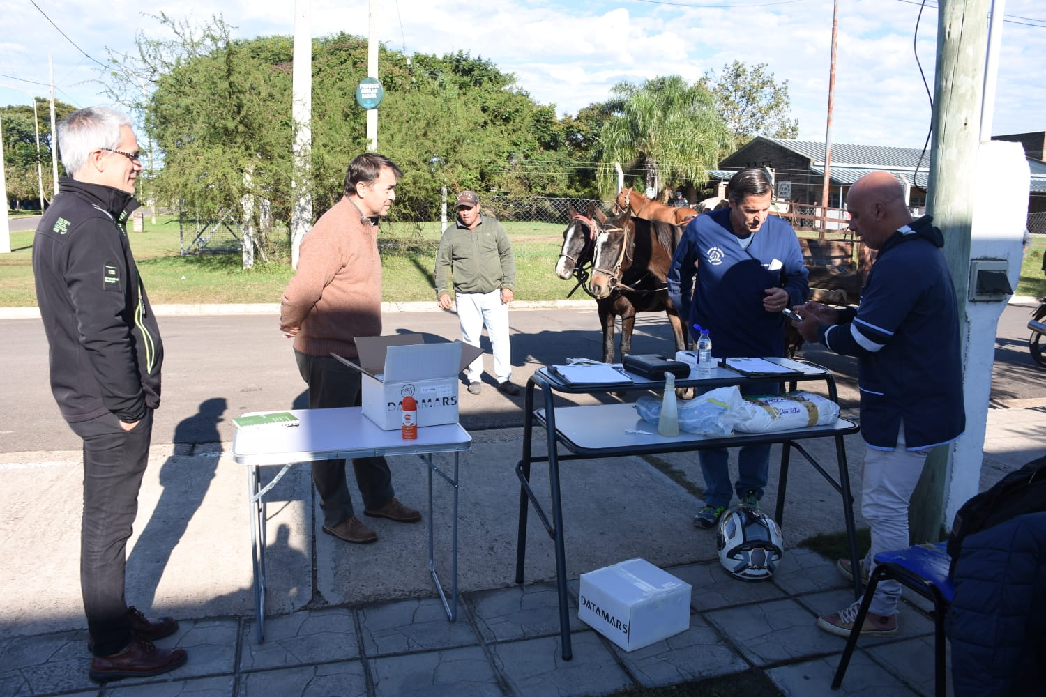 Comenzó el registro y censo de tracción a sangre en Concordia