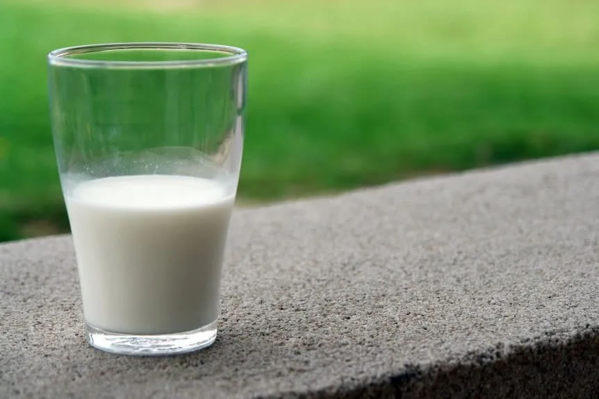 Día Mundial de la Leche