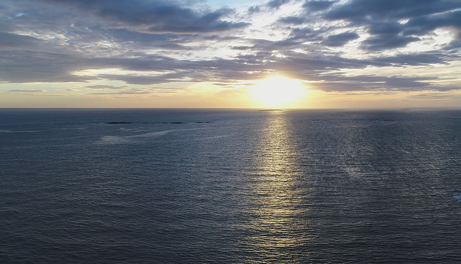 Día Mundial de los Océanos