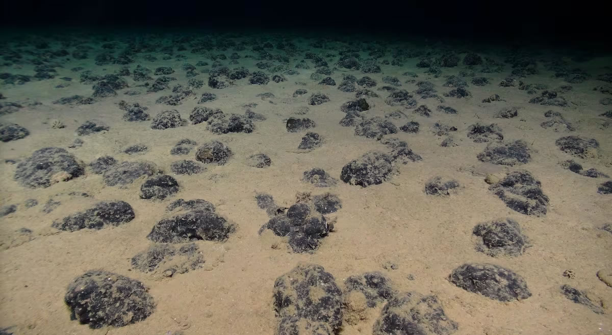 Descubren «oxígeno oscuro» generado en lo profundo del océano