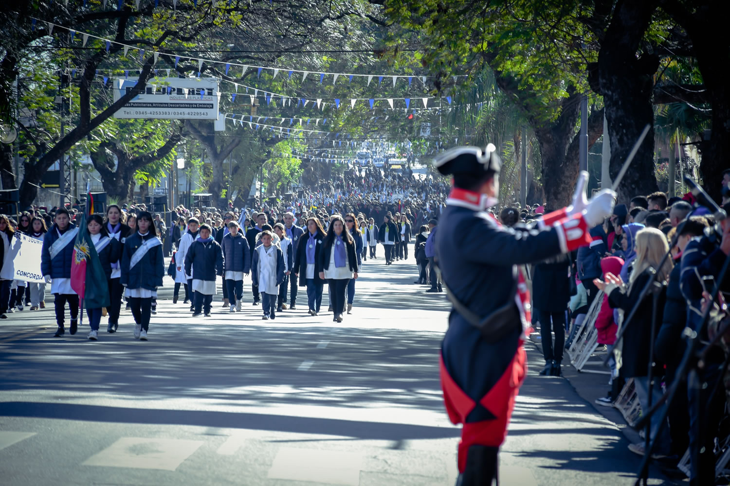 Se realizó el tradicional desfile cívico-militar por el 208º Aniversario de la Declaración de la Independencia