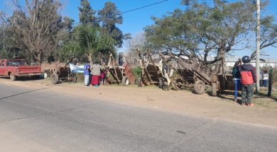 WhatsApp Image 2024-07-02 at 12.58.50