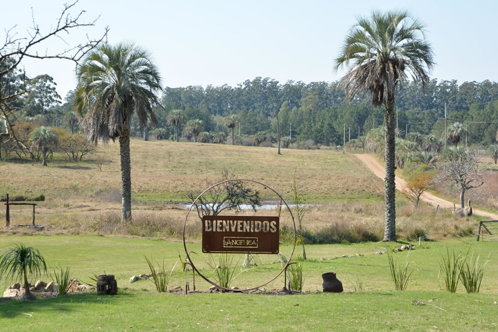El Establecimiento La Ángelica competirá en el 11º Concurso Trinacional de Hotelería Sustentable representando a la Argentina