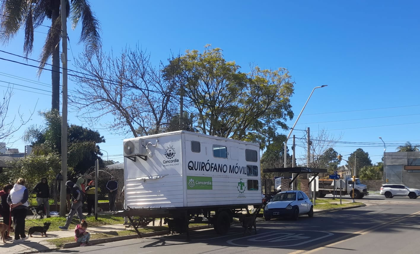 El programa de esterilizaciones barriales gratuitas continúa en Villa Zorraquín