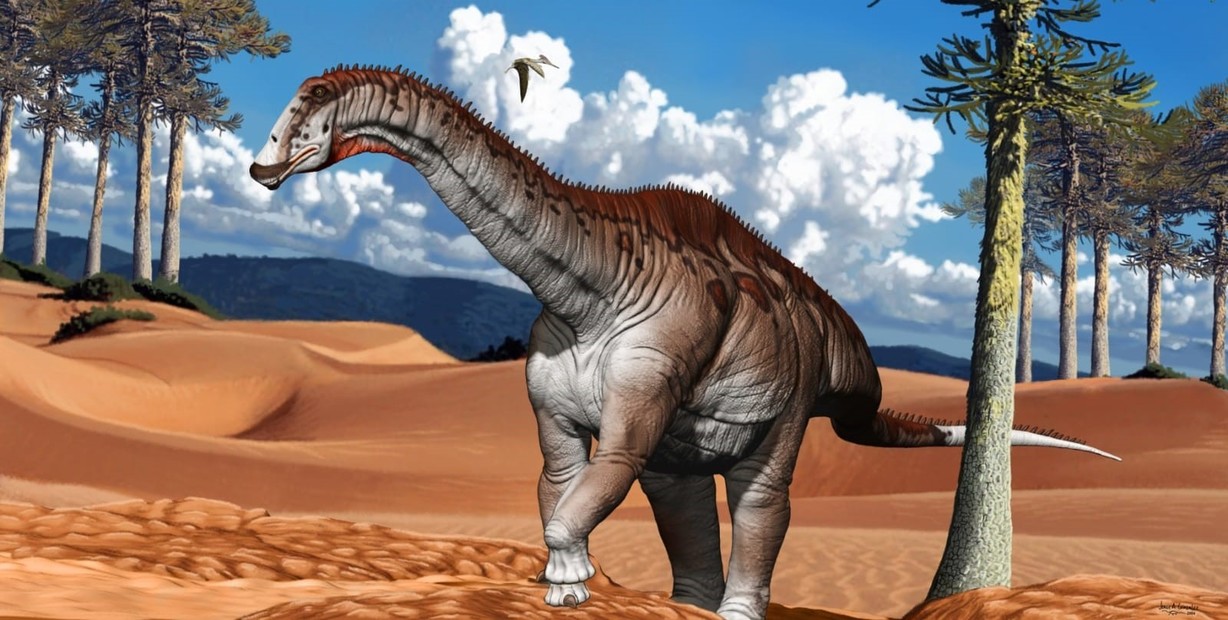 El rey de la Patagonia: Encuentran los restos de un dinosaurio con los huesos llenos de aire