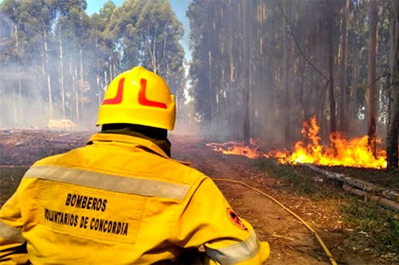 Los bomberos voluntarios entrerrianos se declararon en “emergencia, alerta y movilización” en reclamo al gobierno provincial