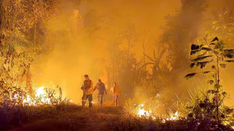 Incendios en Bolivia consumen una superficie comparable a la de Suiza y los bomberos no dan abasto