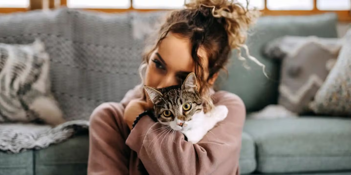 Aseguran que los gatos tienen la misma personalidad que sus dueños: por qué pasa esto