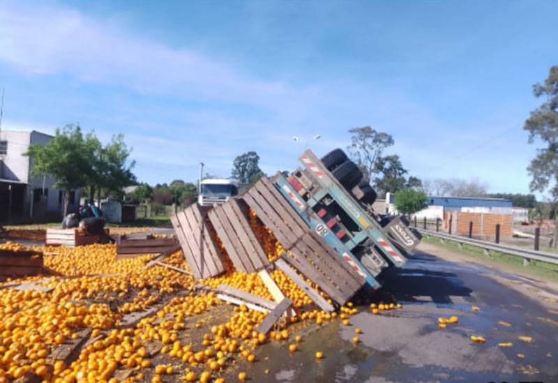 Un camión con acoplado tuvo una falla en los frenos y volcó toda su carga cítrica