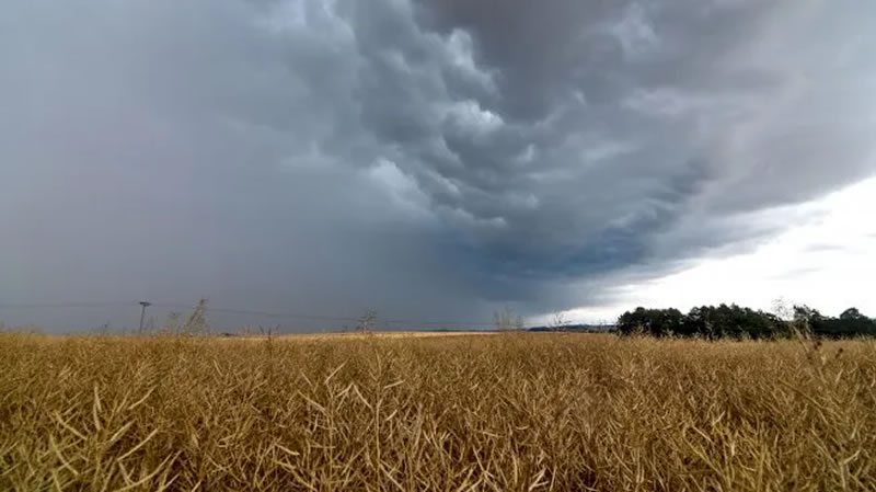 Niña “débil y corta”: Mejora el panorama de lluvias y alivia al campo