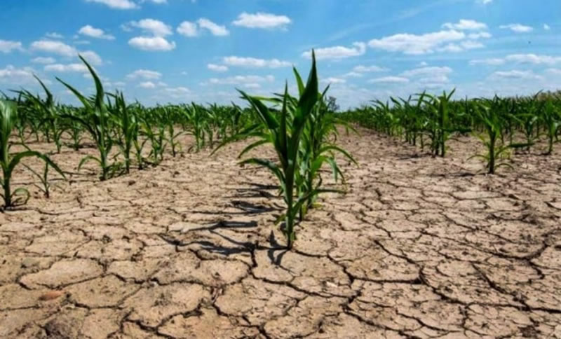La Niña: El fenómeno climático que traerá sequías y calor extremo en Argentina este verano
