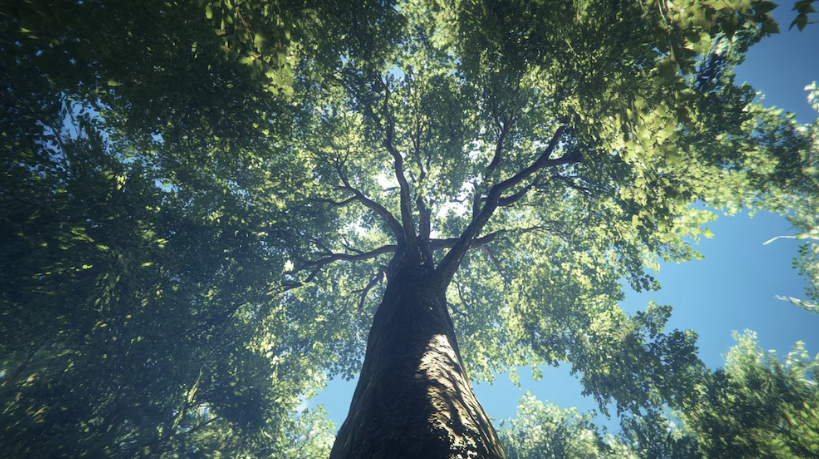 Más de un tercio de las especies de árboles están al borde de la extinción