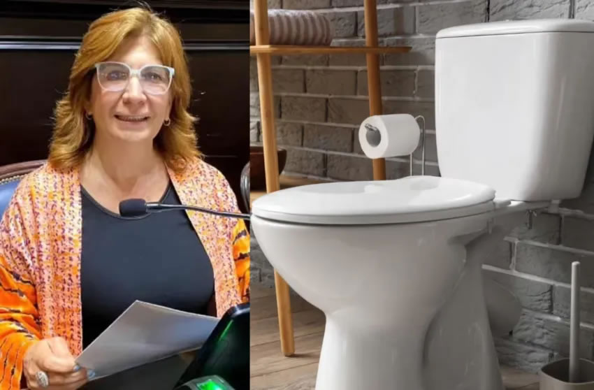 Una diputada bonaerense presentó un proyecto para declarar al inodoro como «un lugar para la paz»