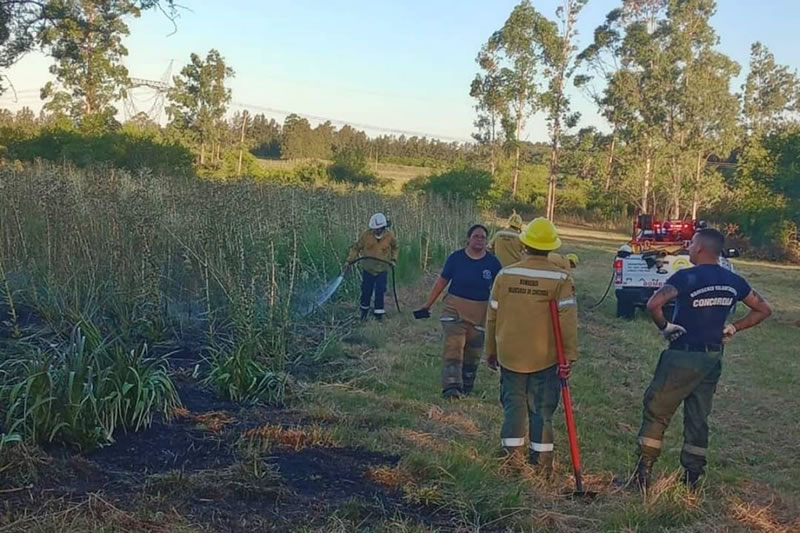 Dos incendios forestales fueron combatidos por bomberos este fin de semana