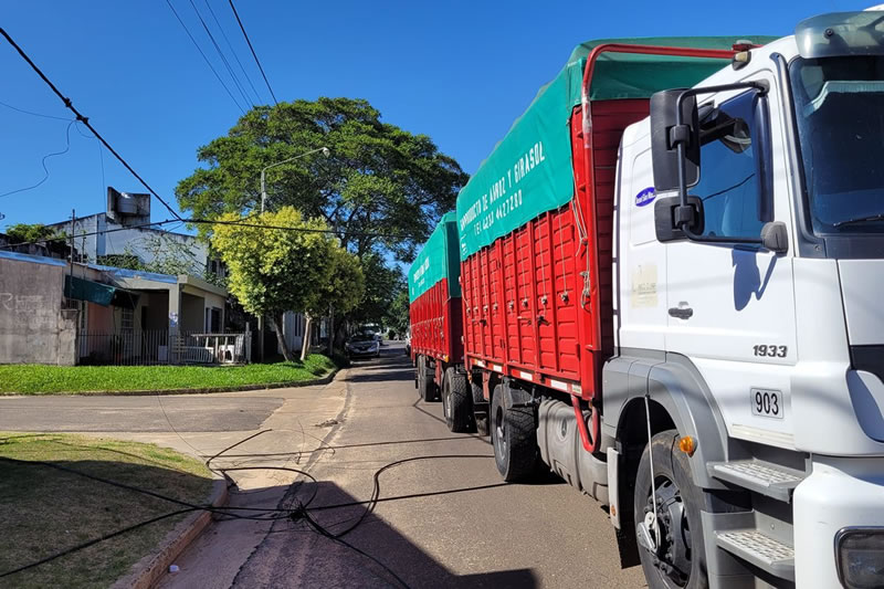 Un camión tiró al piso varios postes y cortó distintos servicios al enganchar un cableado