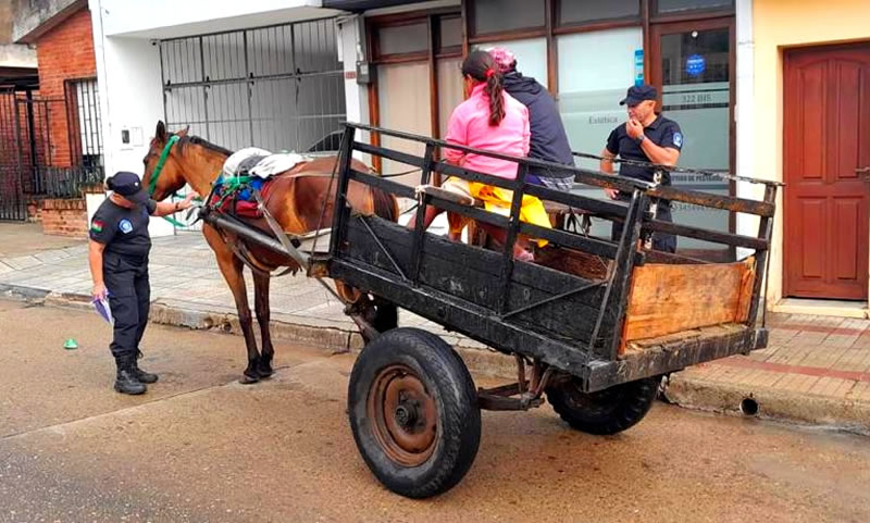Rige la ordenanza de ampliación de la zona de prohibición de circulación de vehículos con tracción a sangre