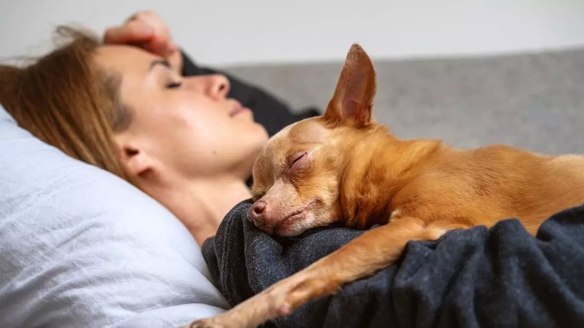 Estudio reveló que dormir con tu mascota es el secreto para evitar la depresión
