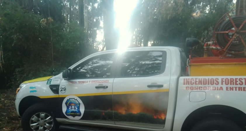 Bomberos Voluntarios debieron intervenir en un incendio en el perilago de Salto Grande