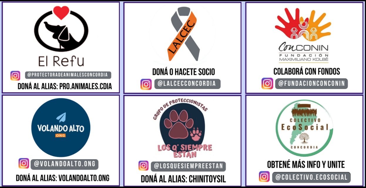 Día Internacional de los Voluntarios