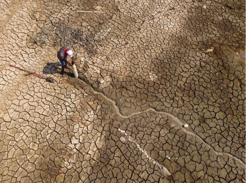 El 78% de la tierra está más seca que en 1990 y cuáles son las dos regiones argentinas en el “mapa caliente”