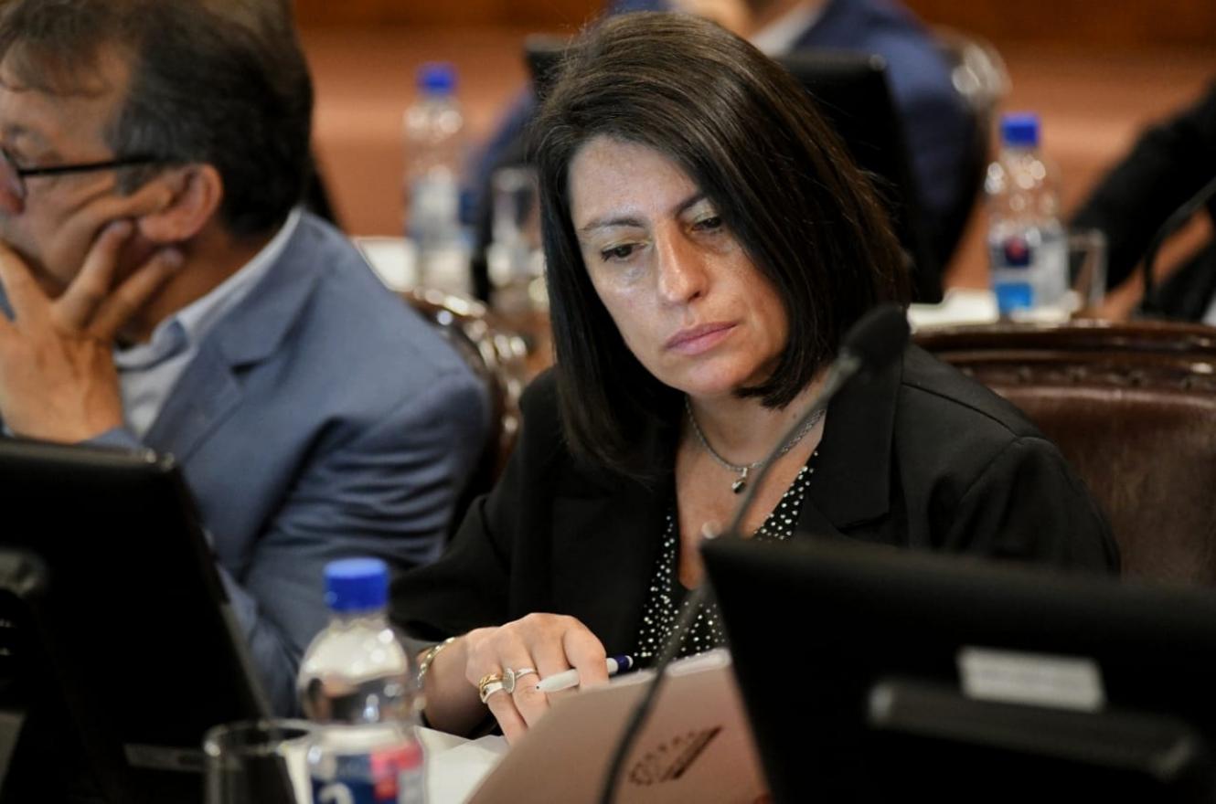 La Diputada Laner presentó un proyecto que busca prohibir poner nombres de políticos y agrupaciones a bienes del Estado