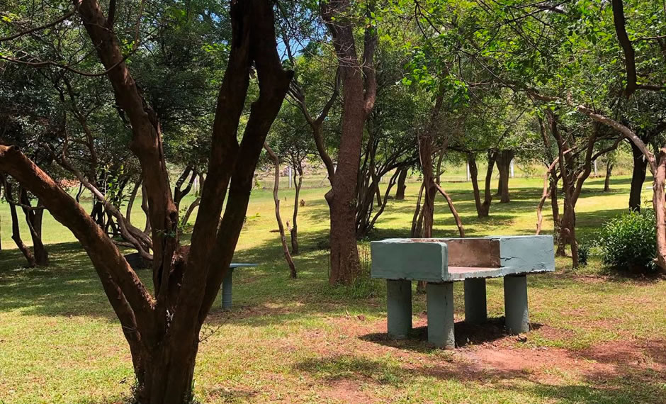 Te traemos diferentes opciones para acampar en la región, actividades y referencia de los equipos esenciales para que disfrutes estas vacaciones