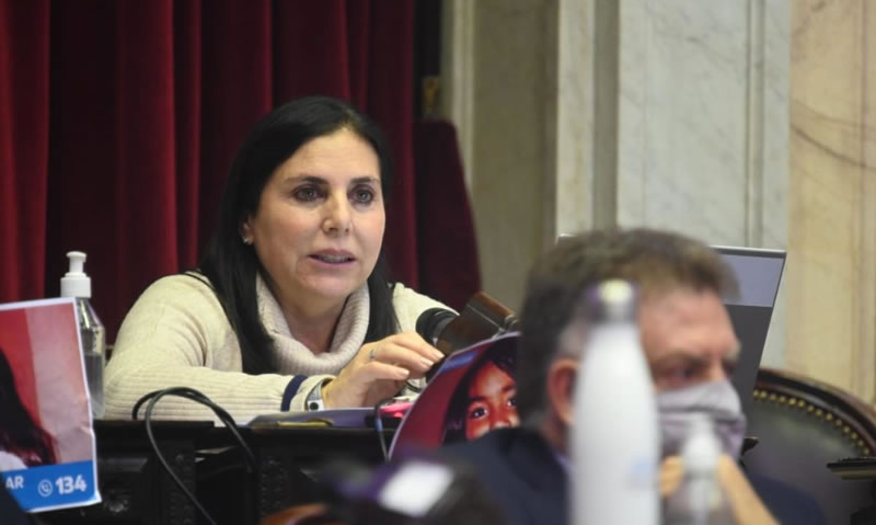 Ley de Municipios y Consejo de la Magistratura, entre los principales objetivos de Lena