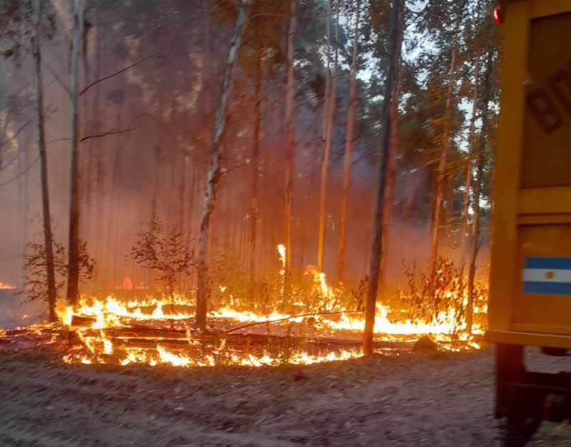 El engaño que turistas argentinos realizan para evitar multas en Brasil por excesos de velocidad