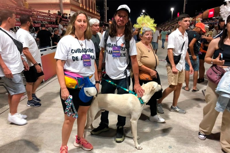 Proteccionistas contaron la experiencia de cuidar perros durante el Carnaval de Gualeguaychú