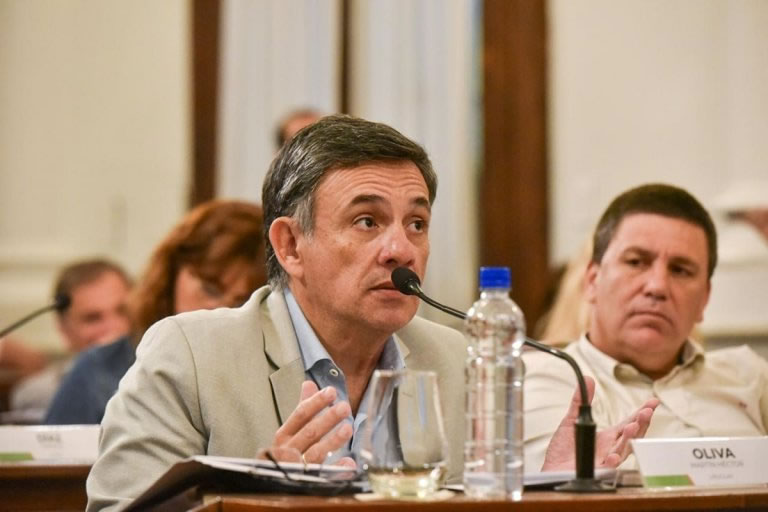 El senador Martín Oliva afirmó que no acompañará “ningún artículo inconstitucional”